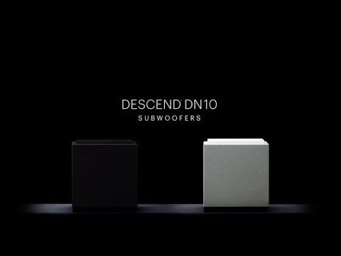 DEFINITIVE TECHNOLOGY DN10 Ultra-Performance, 500W 10" Subwoofer